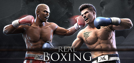 Real Boxing™